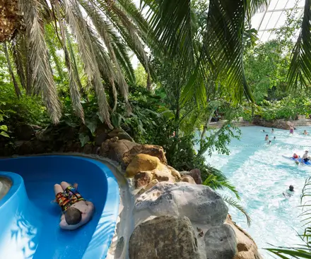 Slides